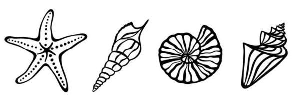conchas marinas dibujadas a mano. conjunto de silueta marina negra vector