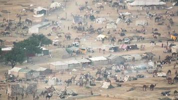 Aerial view of the big camel trade fair in Pushkar, Rajasthan. Camel drivers live either in tents, on the ground or in a cart video