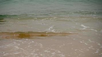 onda e espuma com areia na praia. closeup seguindo uma onda de lavagem em uma praia em câmera lenta. video