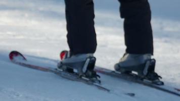 belokurikha, Federação Russa, 22 de fevereiro de 2017 - feche as pernas do esquiador em declive na estância de esqui de montanhas belokurikha, câmera lenta. video