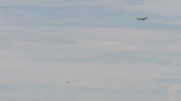 novosibirsk, fédération de russie 27 juin 2021 - long shot d'un avion à réaction airbus a320 des compagnies aériennes s7 descendant avant d'atterrir à l'aéroport de tolmachevo ovb. avion et oiseau dans le ciel video