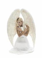 hermosa joven modelo con grandes alas de ángel sentada en el estudio. Fondo blanco foto