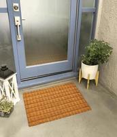 Designer Welcome Entry Doormat Placed Outside Entry Door with Plant and Lamp photo