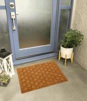 Designer Welcome Entry Doormat Placed Outside Entry Door with Plant and Lamp photo