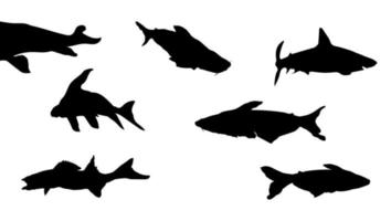 siluetas de peces. peces marinos, vida marina. escuela del vector de peces.
