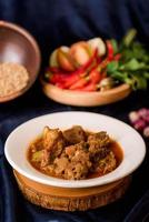 Rendang Padang. Spicy beef stew from Padang, Indonesia. The dish is arranged among the spices and herbs used in the recipe. photo