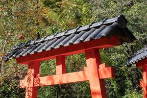 Decorative arch in Chinese style decoration in the park. photo