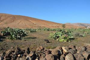 View of the mountain landscape. Fuerteventura. Canary Islands. Spain photo