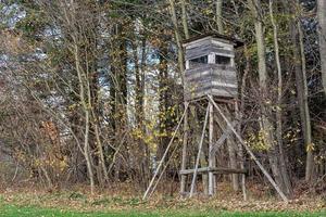 Wooden lookout tower for hunting in the woods and on meadow photo