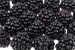Fresh Ripe Blackberries photo