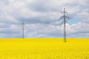 High voltage power lines above rapeseed field. Plant for vegetable oil, green energy and biodiesel.