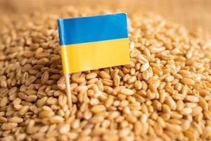 granos de trigo con bandera de ucrania, exportación comercial y concepto económico.