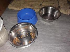 Items for dog and cat food photo
