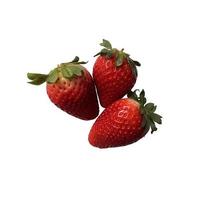 Strawberry isolated berry, sweet delicious summer fruit full of vitamins, clipping path, side view photo