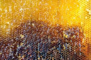 Drop of bee honey drip from hexagonal honeycombs filled with golden nectar photo