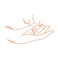 mano de mujer con flores png