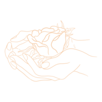 Hand Holding Rose Line Art png