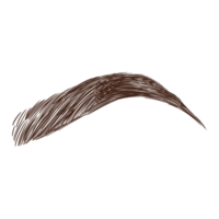 Brown Brow Illustration png