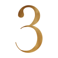 Golden Number Three png