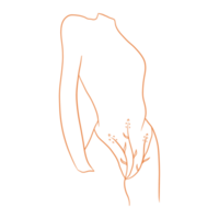 Women Body Outlined png