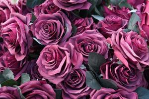 Roses on the table for Valentine's Day photo