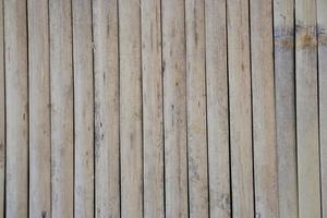 bamboo background in a row photo