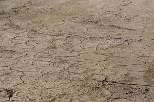 dry ground cracked by drought lack of water in agriculture photo