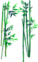 arte de árvore de bambu png