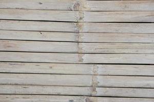 bamboo background in a row photo