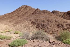 The Negev is a desert in the Middle East, located in the south of Israel. photo