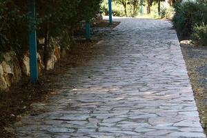 camino para peatones en un parque de la ciudad en el norte de israel. foto