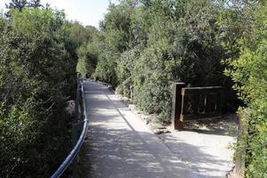 Road for pedestrians in a city park in northern Israel. photo