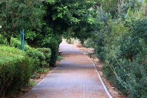 Road for pedestrians in a city park in northern Israel. photo