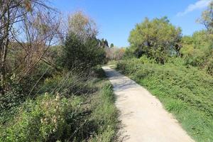 Road for pedestrians in a city park in northern Israel. photo