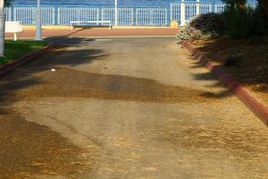 Road for pedestrians in a city park in northern Israel. photo