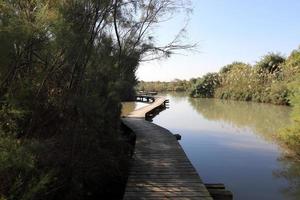 camino para peatones en un parque de la ciudad en el norte de israel. foto