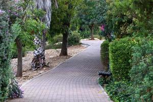 Road for pedestrians in a city park in northern Israel. photo