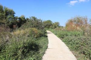 Road for pedestrians in a city park in northern Israel. photo