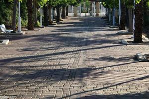 camino para peatones en un parque de la ciudad en el norte de israel. foto