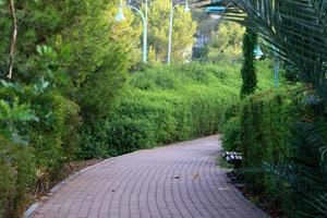 camino para peatones en un parque de la ciudad en el norte de israel. foto