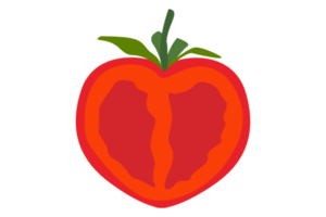 rodaja de tomate