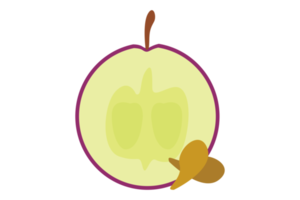 Slice of Grape Fruit png
