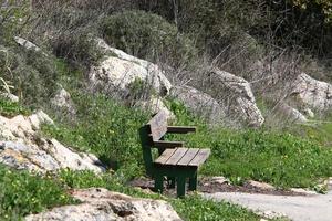 Bench for rest in the city park on the seashore. photo