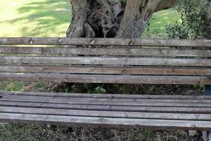 Bench for rest in the city park on the seashore. photo