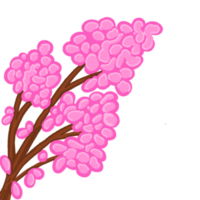 schöne Sakura-Blumenverzierungsdekoration für Design png