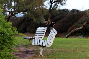 Bench for rest in the city park on the seashore. photo