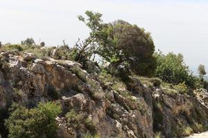 Landscape in the mountains in northern Israel. photo