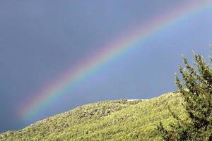 arco iris en el cielo sobre el bosque. foto