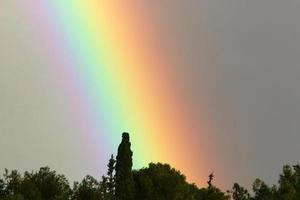 arco iris en el cielo sobre el bosque. foto