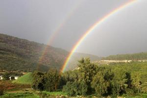 arco iris en el cielo sobre el bosque. foto